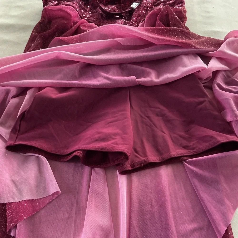 A Wish Come‎ True Ombré Glitter Sequin Assym Chiffon Dance Skating Costume